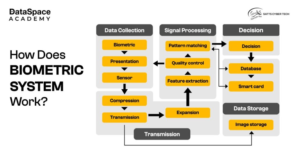 How Does Biometric System Work?