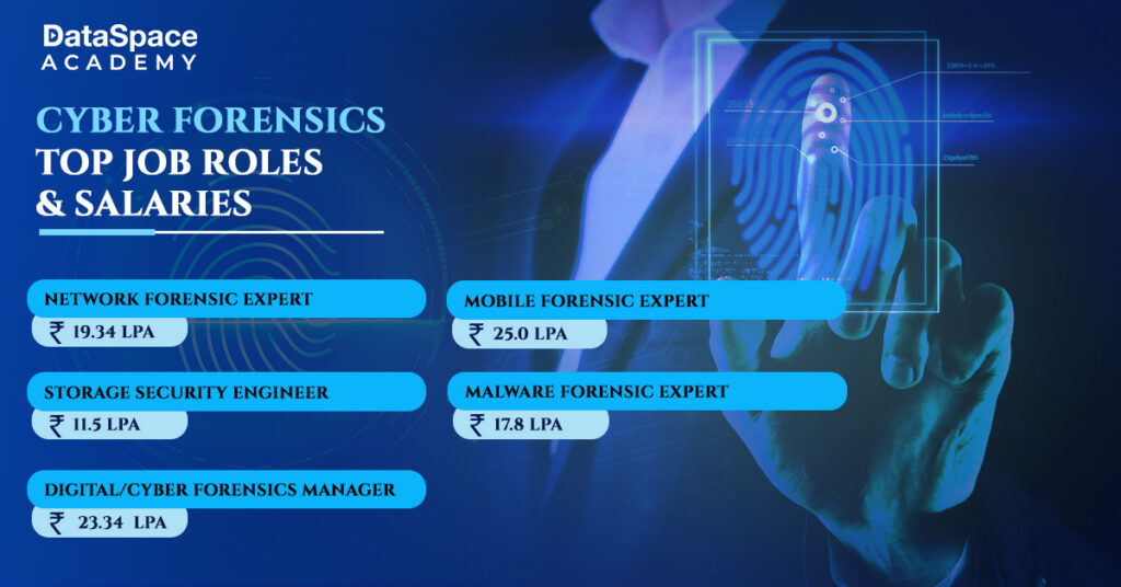 The Job Roles and Salary of Cyber Forensics Experts