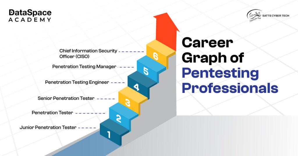 Career Graph of Pentesting Professionals