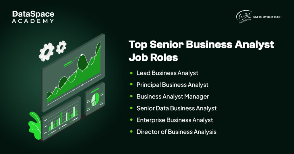 What does a Senior Business Analyst do?